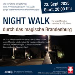 Jahrtausendbrücke bei Nacht