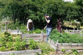 2 Menschen im Havelgarten