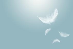 Federn, die in der Luft schweben